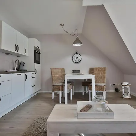 Domizil Gartenstrasse Domizil Gartenstrasse 4 7 Treibgut *