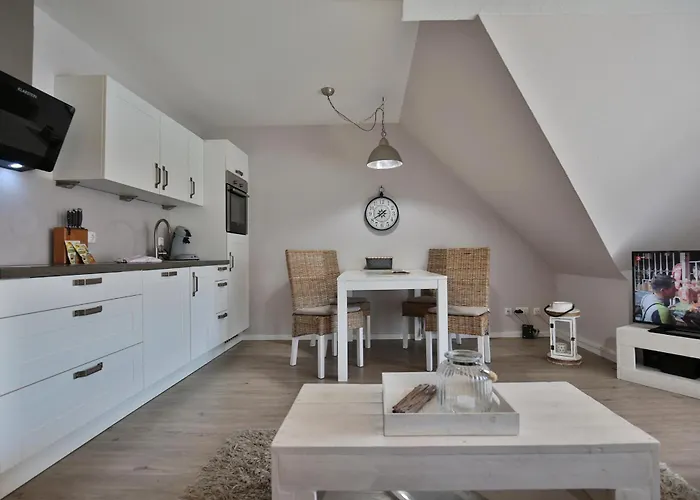 Domizil Gartenstrasse Domizil Gartenstrasse 4 7 Treibgut *